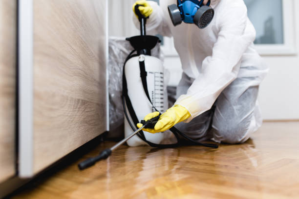 Best Insect Control  in Oakhurst, OK