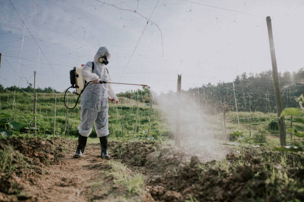 Best Mosquito Control Services  in Oakhurst, OK