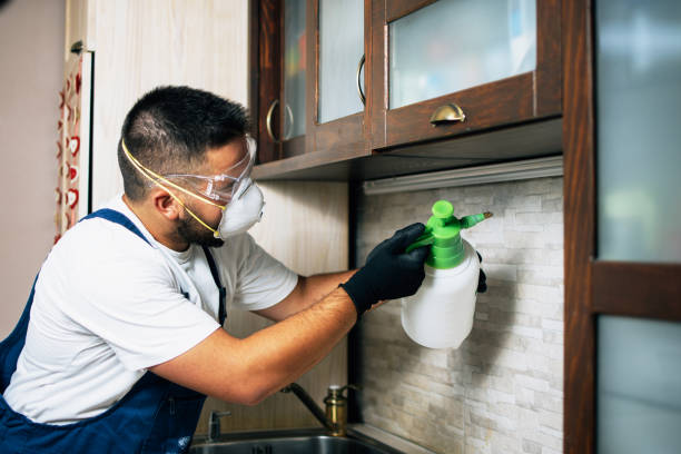 Best Ant Control Services  in Oakhurst, OK
