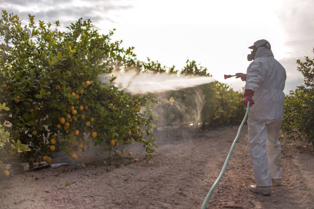 Best Bed Bug Extermination  in Oakhurst, OK